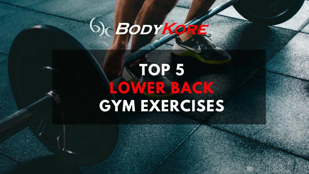 Top 5 Lower Back Gym Exercises for 2024