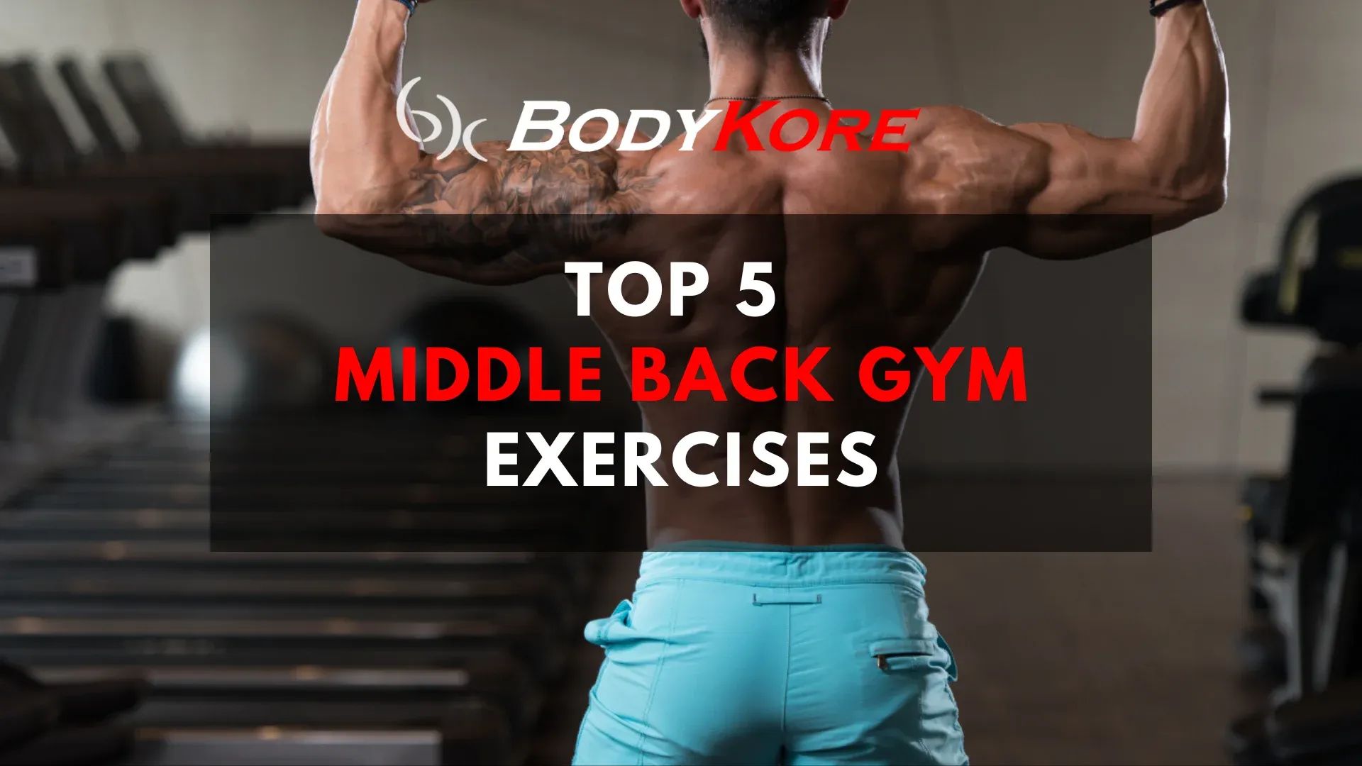 Top 5 Middle Back Gym Exercises for 2024