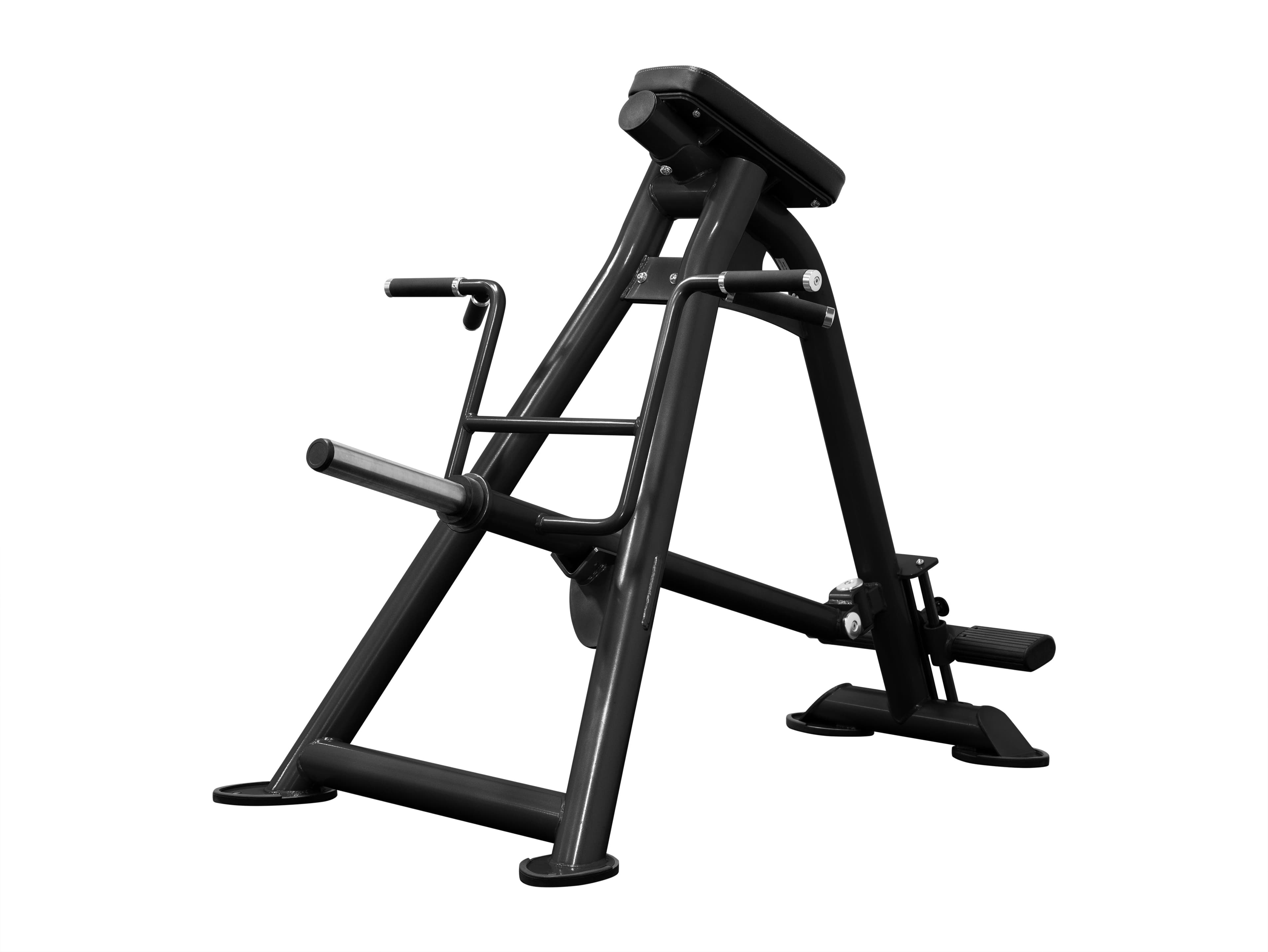 CF2173 Standing T-Bar Row-0