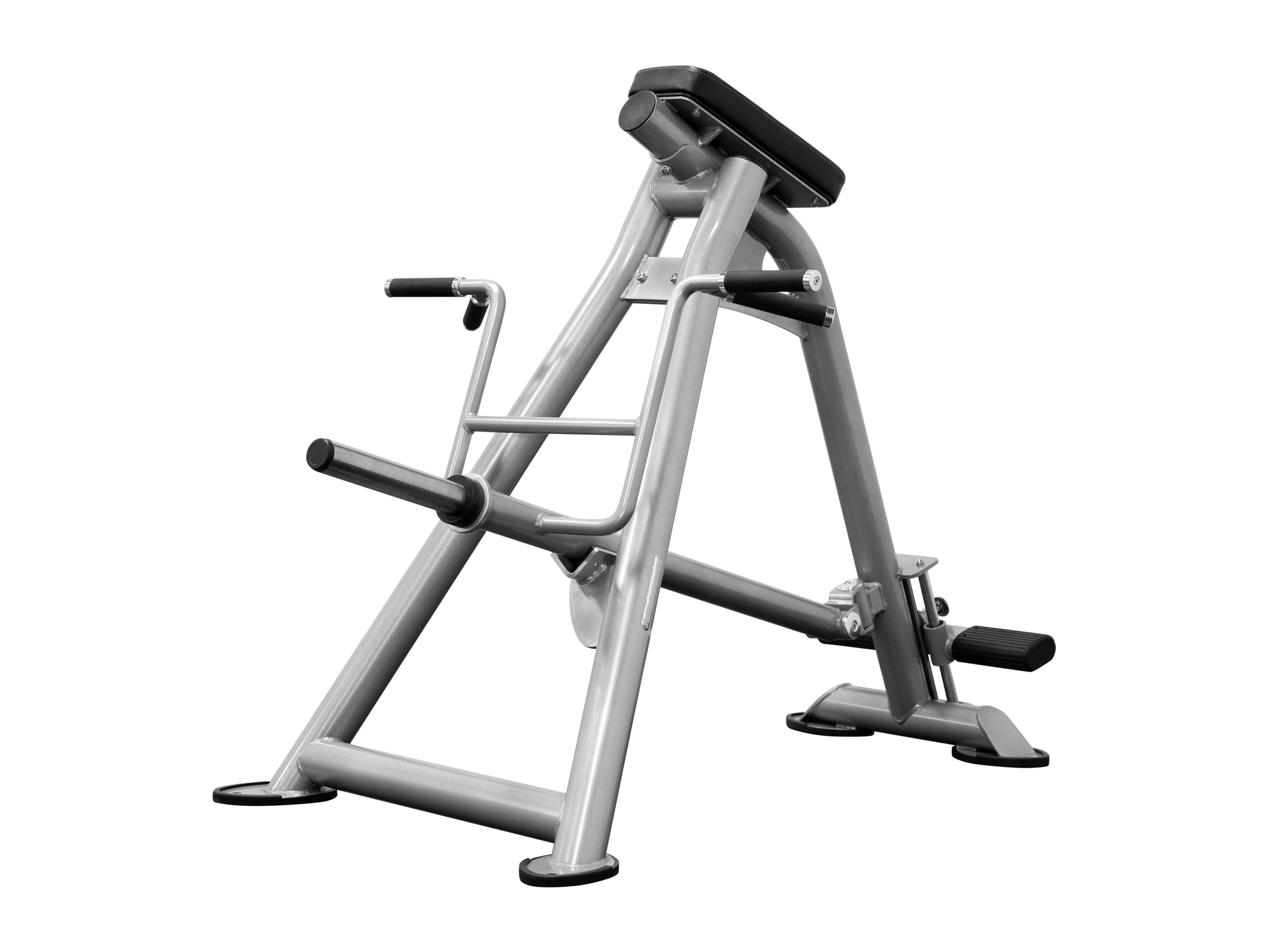 CF2173 Standing T-Bar Row-1